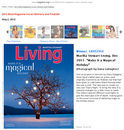 ASME 2012 Best Lifestyle Magazine Cover: Martha Stewart Living, December 2012